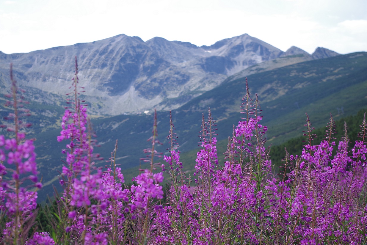 Foto telecabina de Yastrebets, pico Musala, parque nacional de Rila, Bulgaria