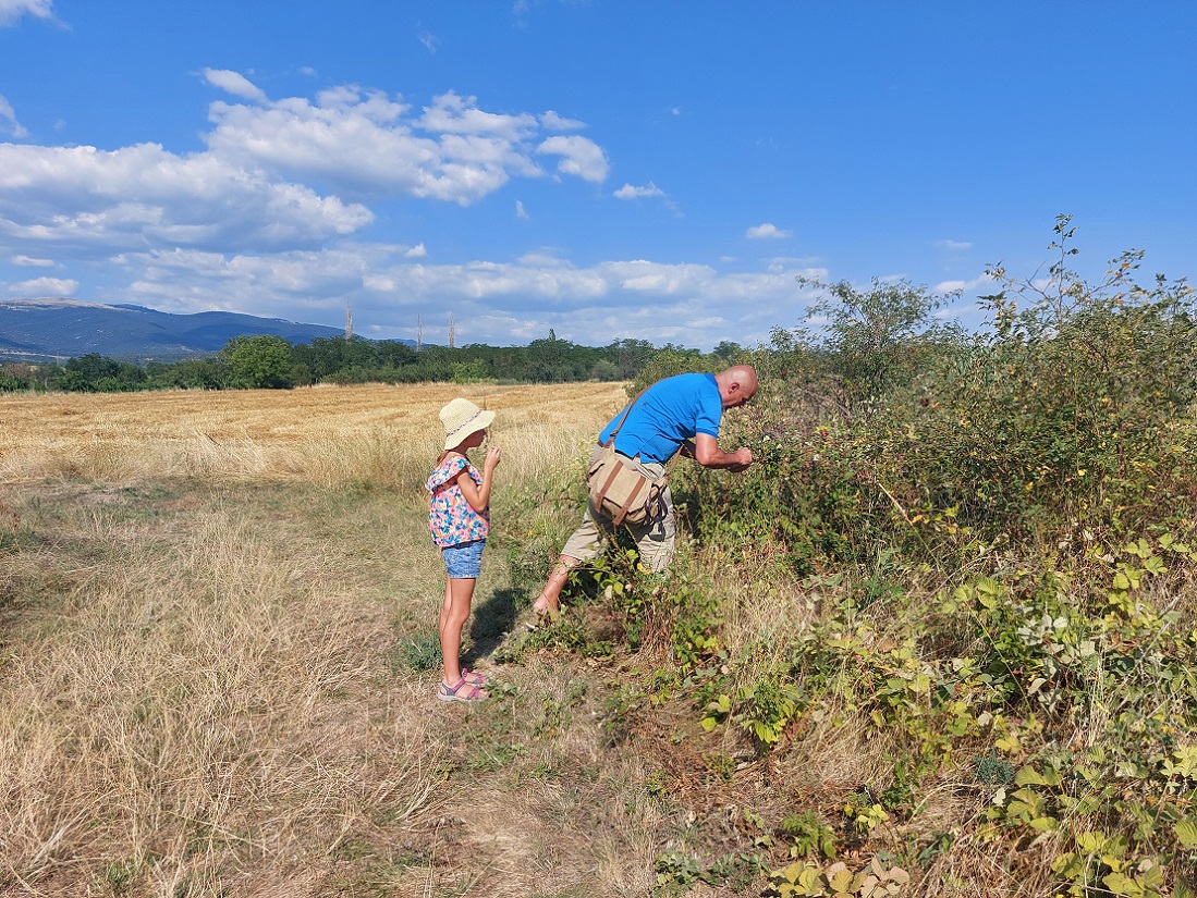 Foto tumba tracia, túmulo de la rana, Strelcha, Bulgaria