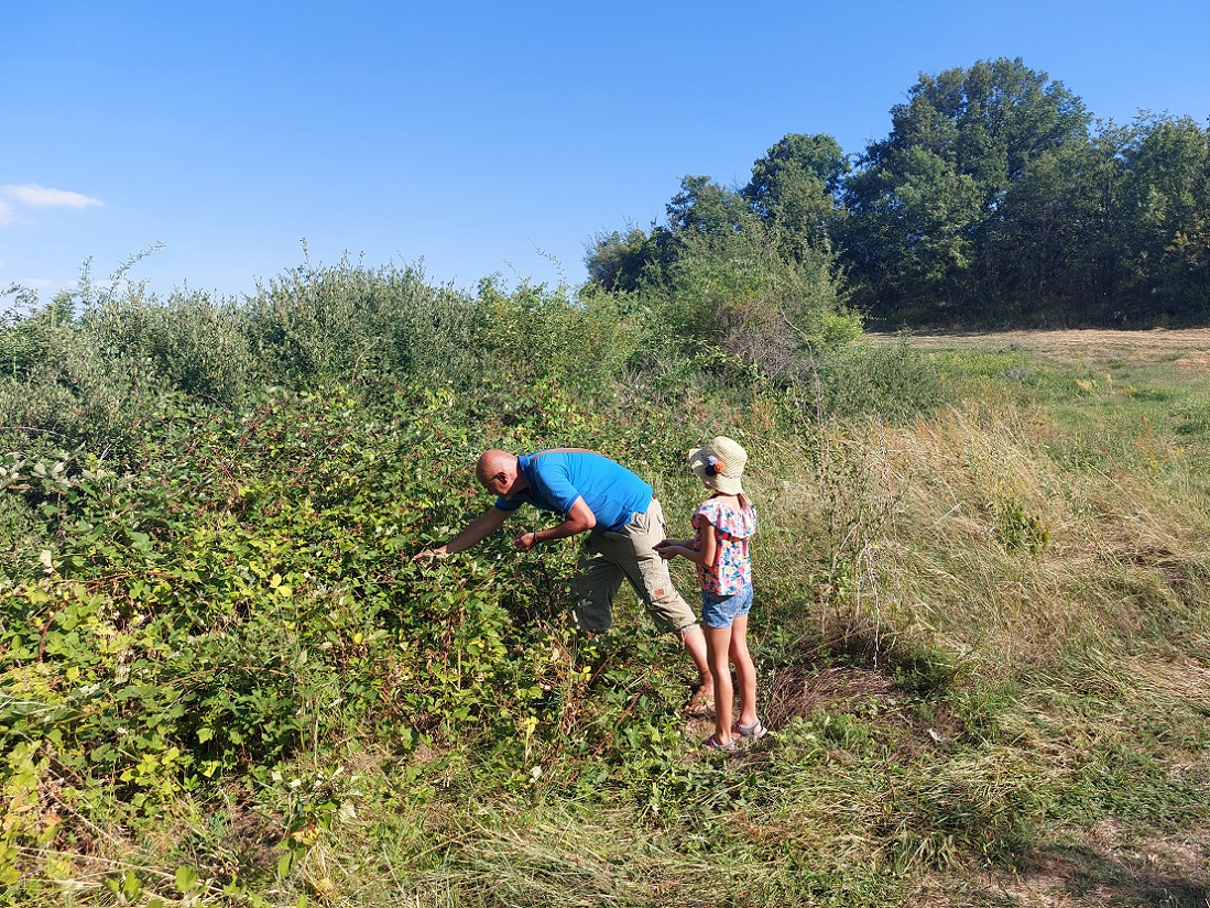 Foto tumba tracia, túmulo de la rana, Strelcha, Bulgaria
