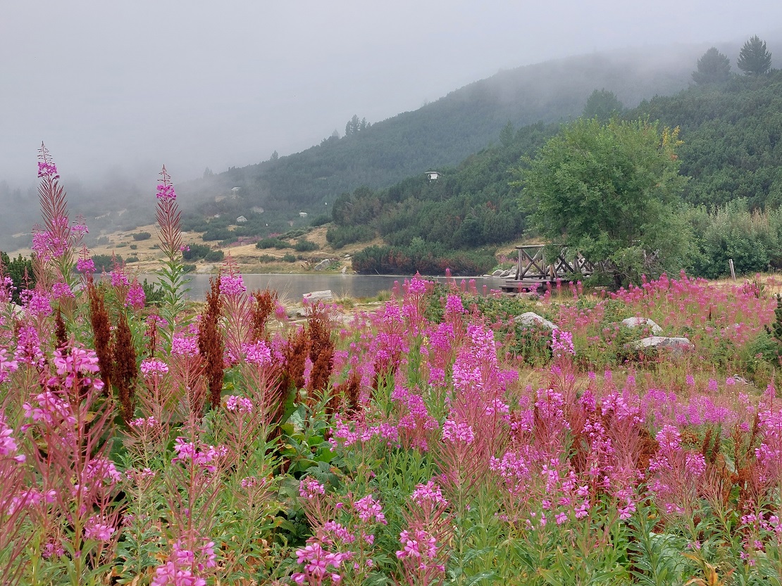parque nacional Pirin, telesilla de Bezbog, Bulgaria
