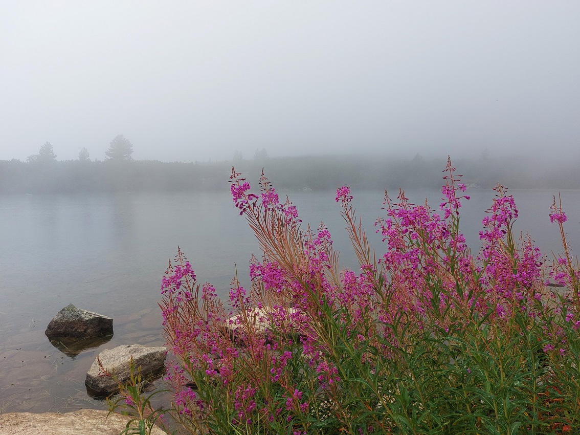 parque nacional Pirin, telesilla de Bezbog, Bulgaria